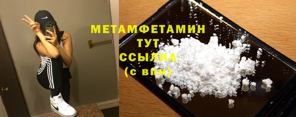 шишки Няндома