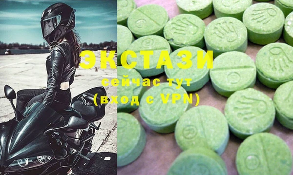шишки Няндома