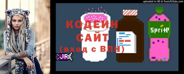 шишки Няндома
