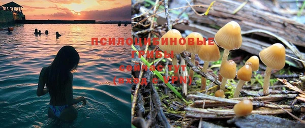 дурь Нязепетровск