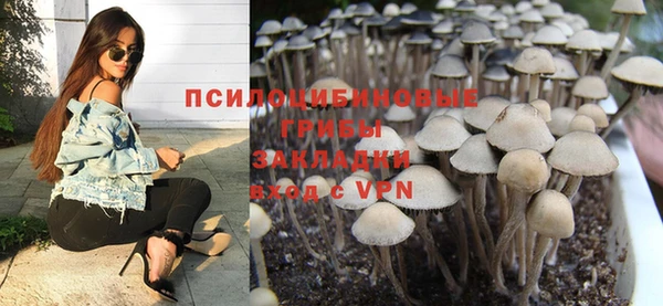 стаф Чердынь