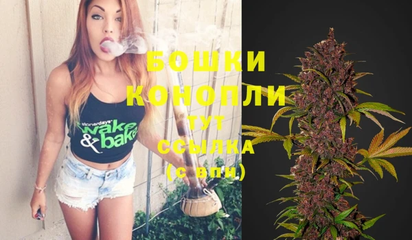 MDMA Новодвинск
