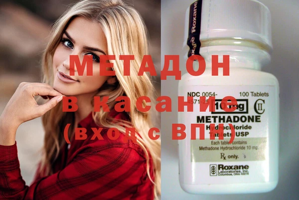 шишки Няндома
