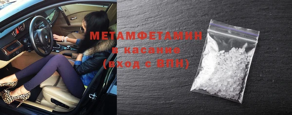 шишки Няндома