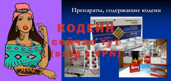 шишки Няндома