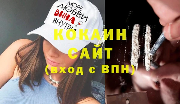 дживик Новозыбков