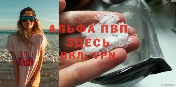дживик Новозыбков
