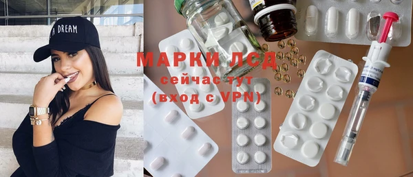 PSILOCYBIN Чегем