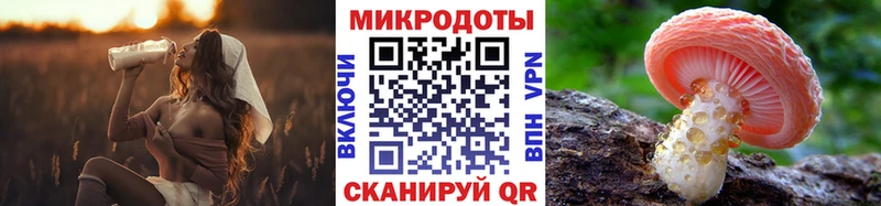 Галлюциногенные грибы Psilocybine cubensis Слюдянка